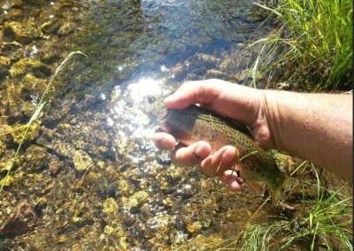 trout-fishing-dude-ranch-wyoming